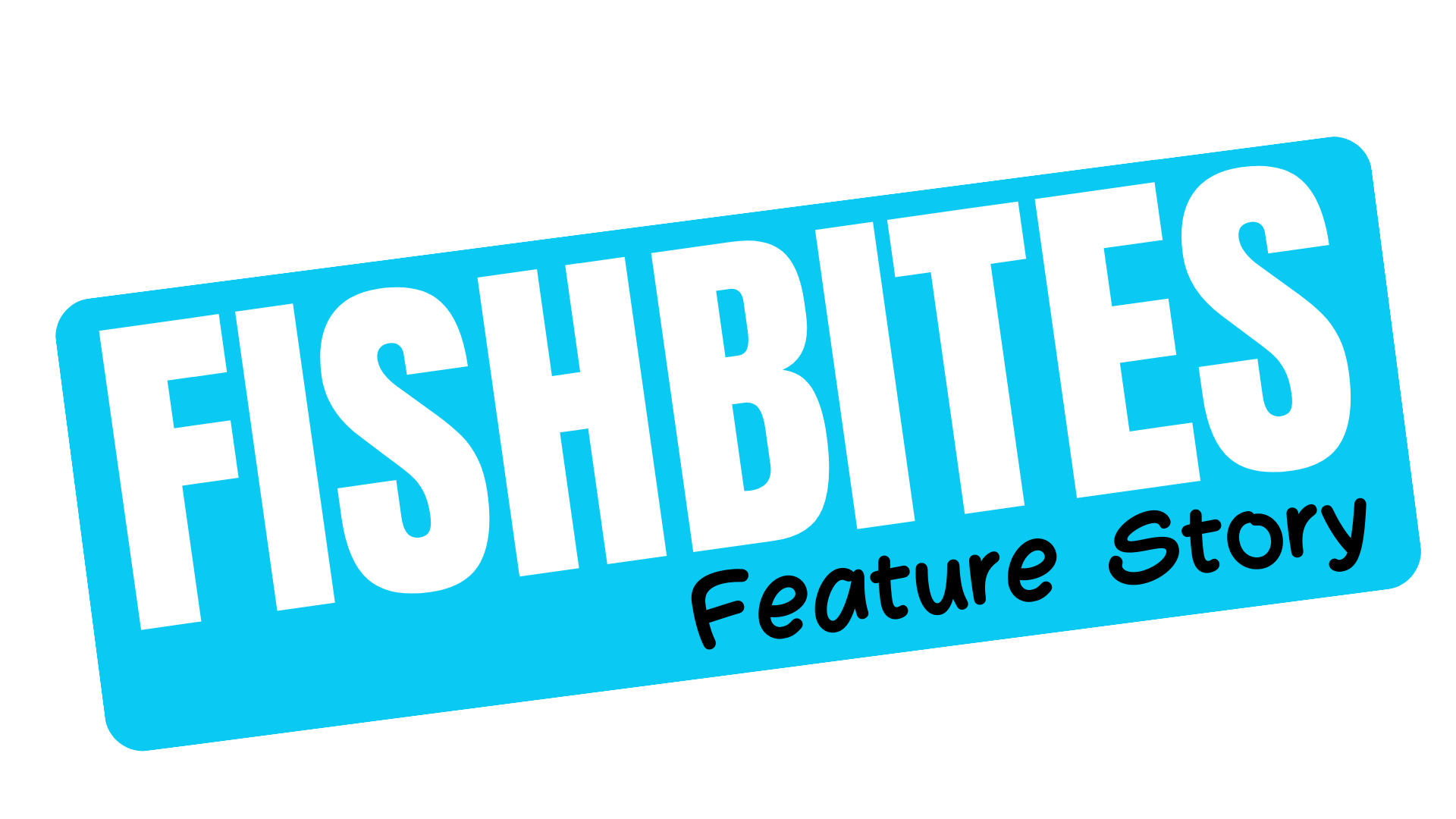 F SHBITES.CO.UK (4)