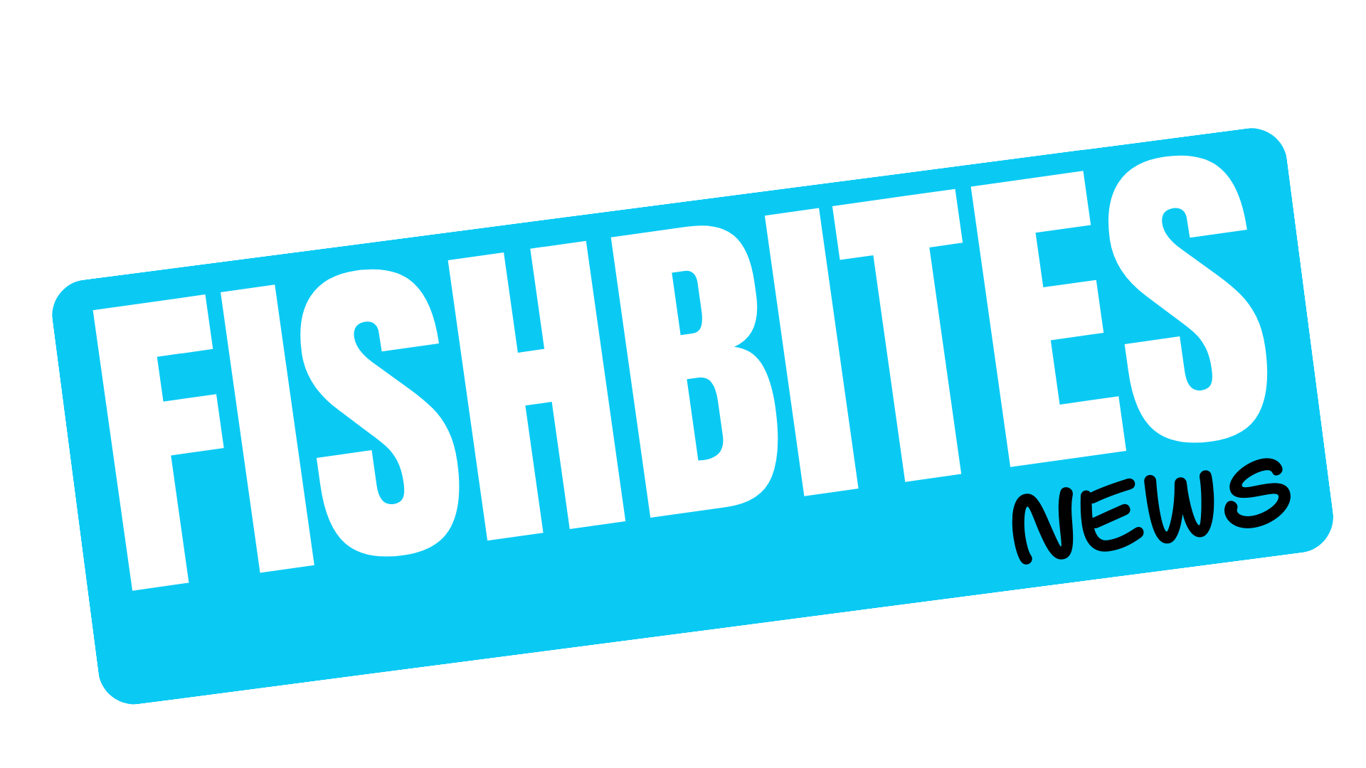 F SHBITES.CO.UK (6)